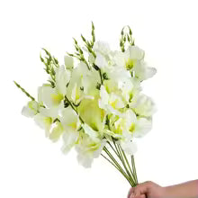 Artificial Moth Orchid Wedding Flowers Wall Home New Year's Decor Accessories Diy Gifts Bridal Bouquets Indoor Bonsai Scrapbooks