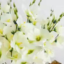 Artificial Moth Orchid Wedding Flowers Wall Home New Year's Decor Accessories Diy Gifts Bridal Bouquets Indoor Bonsai Scrapbooks